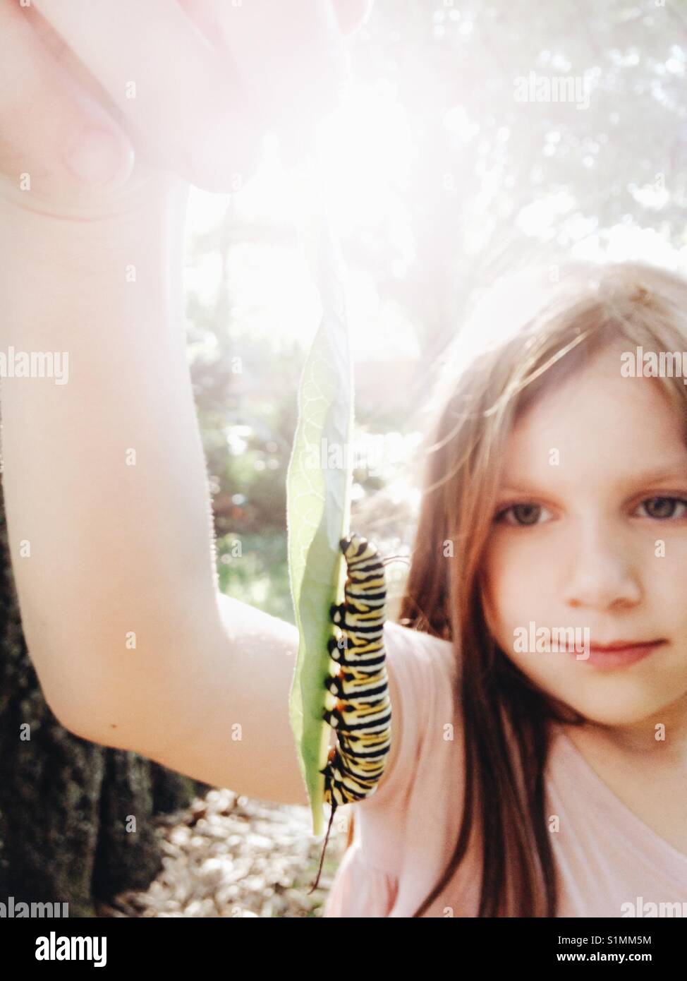 A girl holding a Monarch Butterfly caterpillar on a leaf. Stock Photo