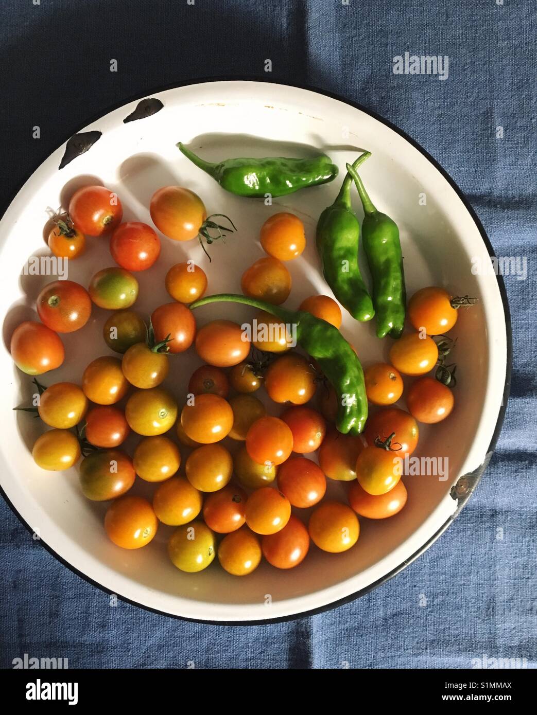 Cherry tomatoes and shishito peppers from a vegetable garden. - Smartphone Captured Stock Image