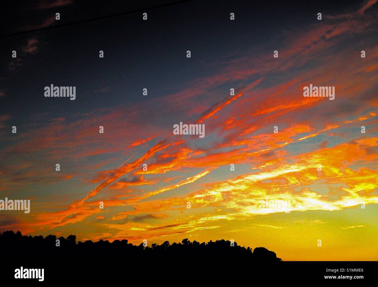 Vivid sunset ribbon clouds over trees in North Carolina - Smartphone Captured Stock Image
