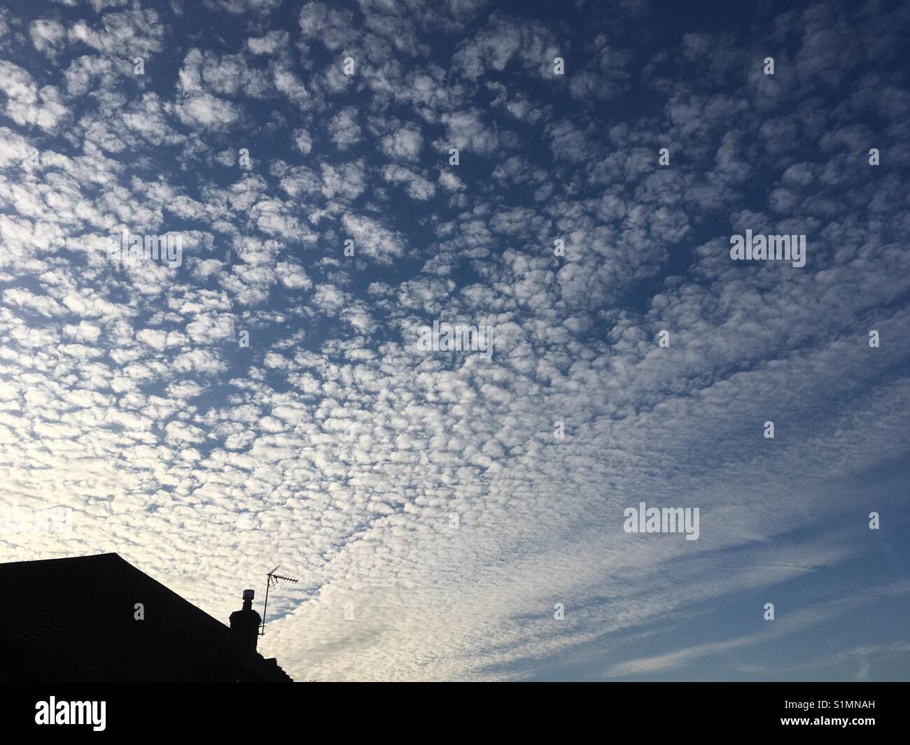Mackerel Cloud Sky Stock Photo Alamy