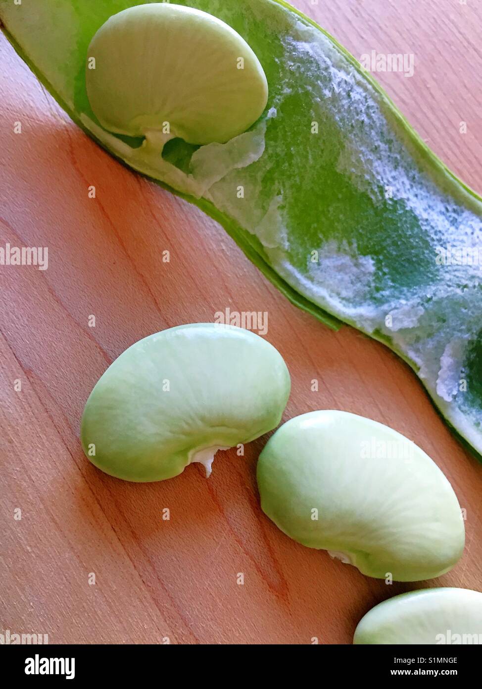Green lima bean hires stock photography and images Alamy