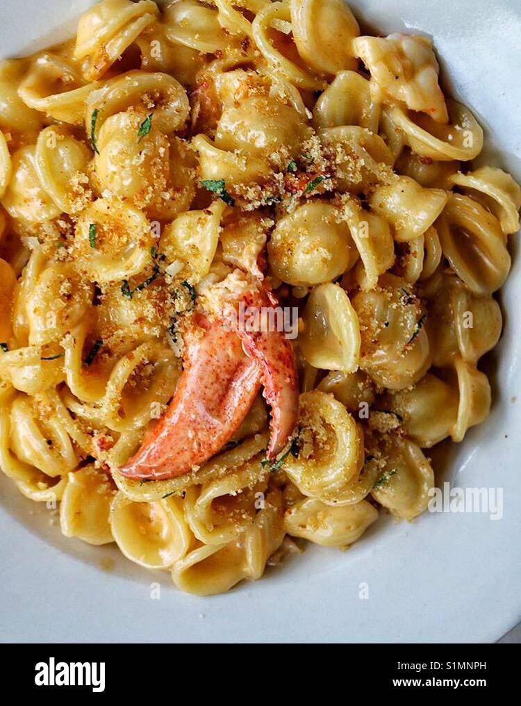 Homemade cheesy lobster pasta Stock Photo Alamy