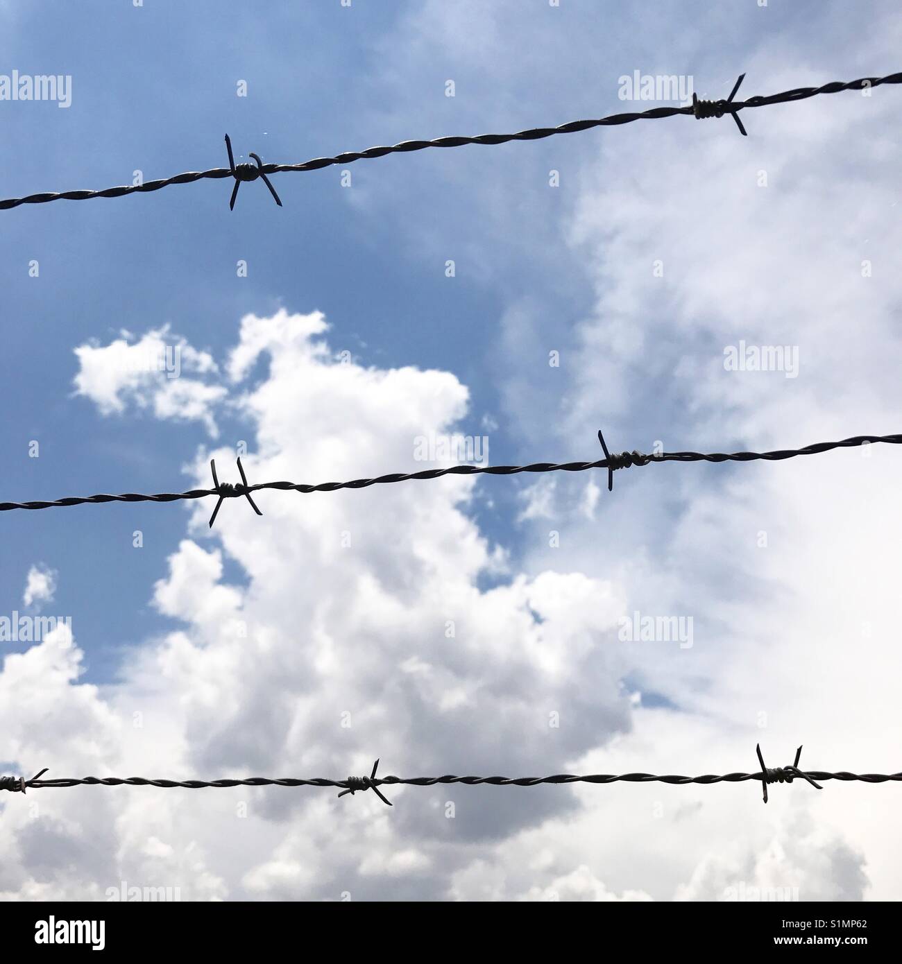 Barbed wire against blue sky. - Smartphone Captured Stock Image