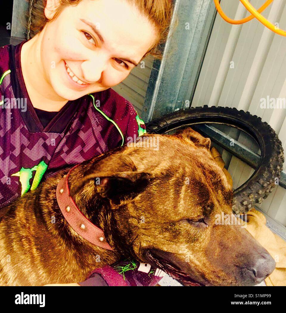 50kg lap dog Stock Photo