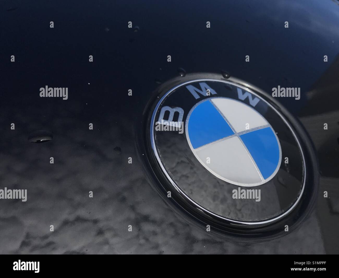 BMW logo. Stock Photo
