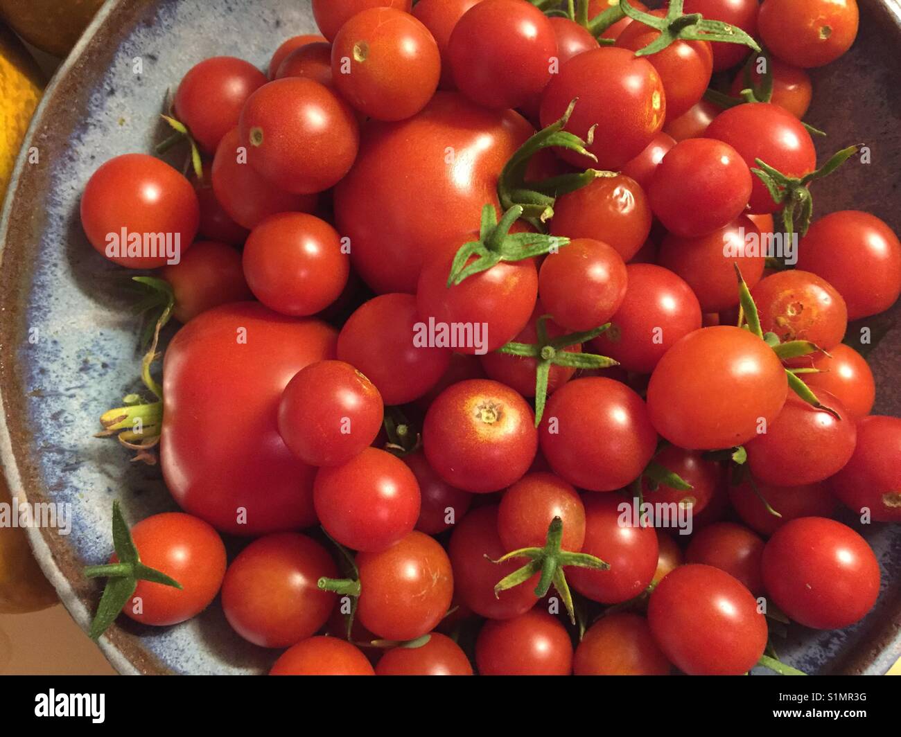 Untouched Photo of Tomatoes Stock Photo