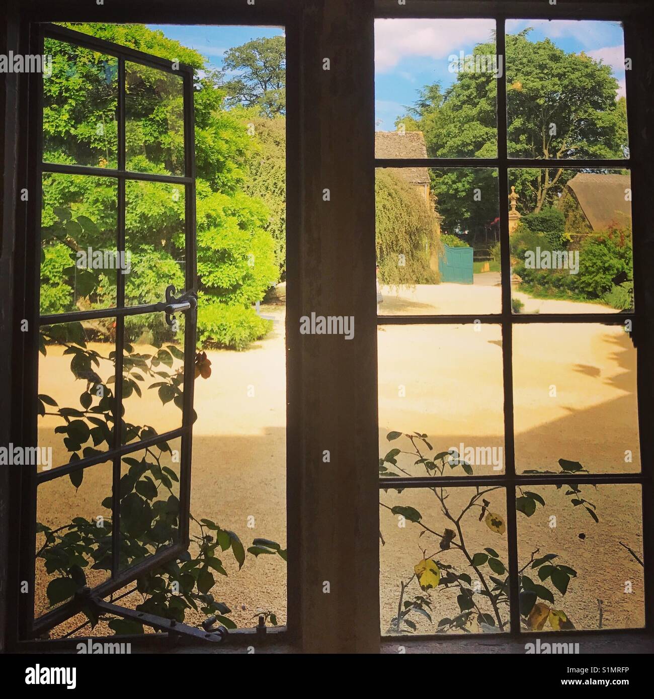 Looking out through the window Stock Photo Alamy