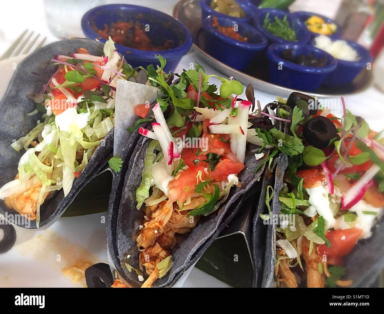 blue tortilla restaurant