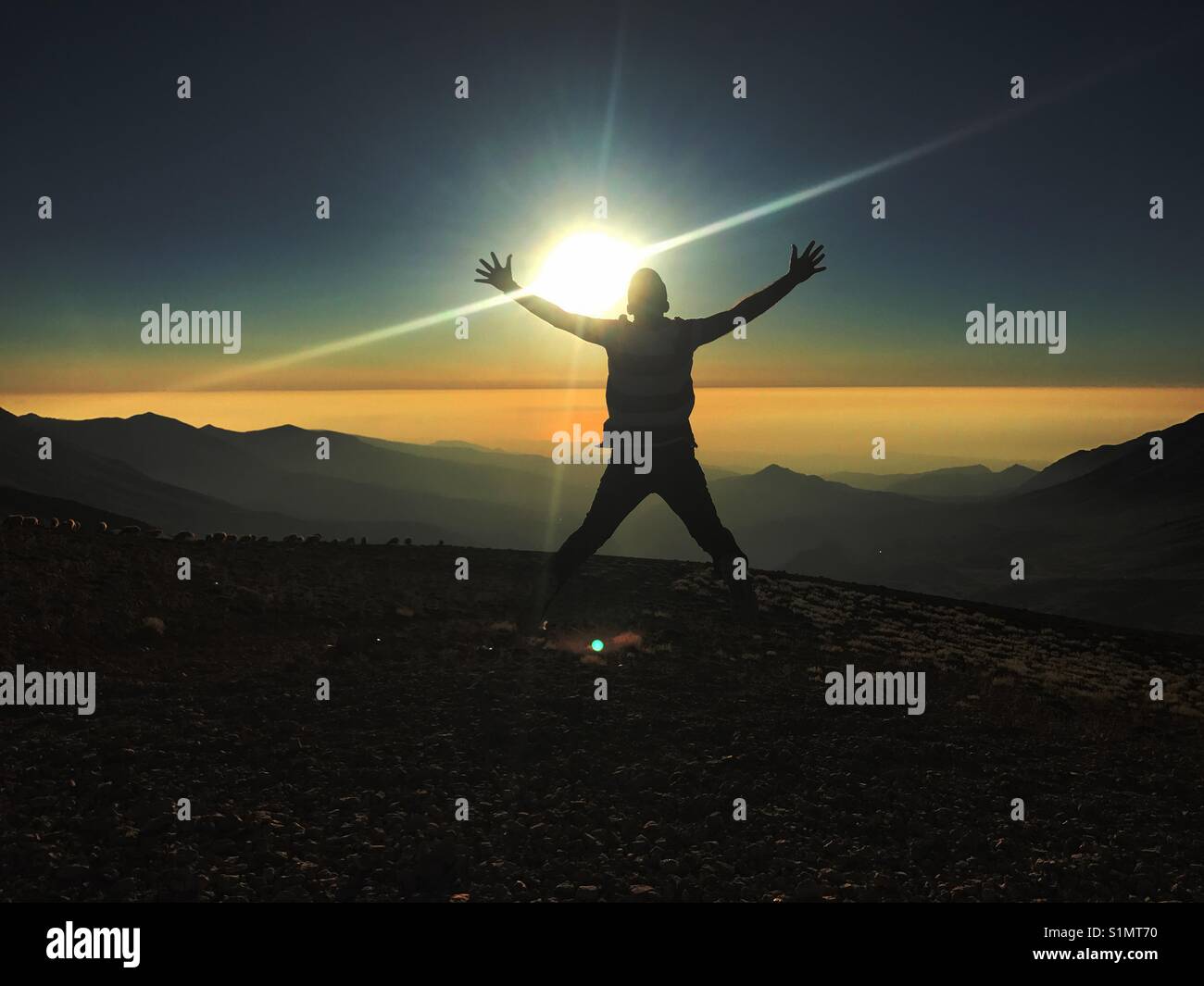 Joy, Happiness, and Success - Smartphone Captured Stock Image