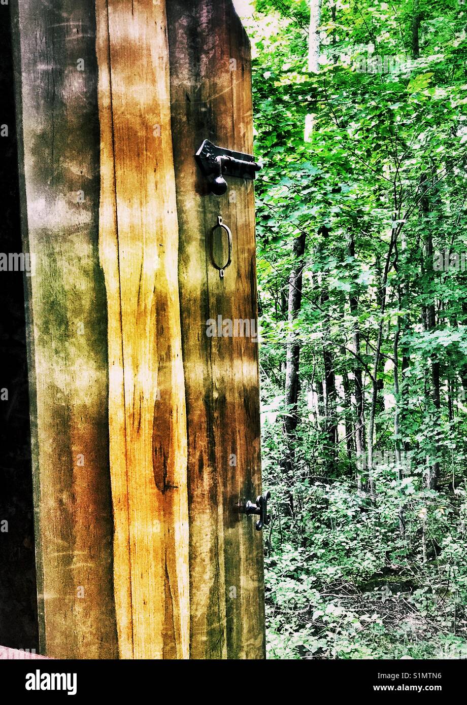 Door opening onto forest Stock Photo Alamy