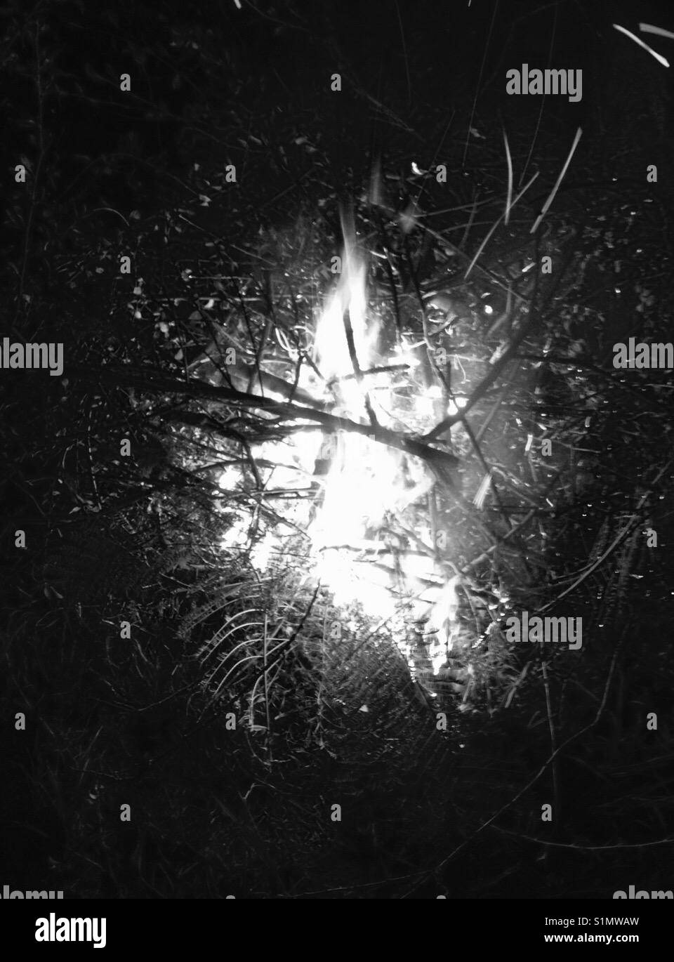 Black and white campfire image Stock Photo Alamy