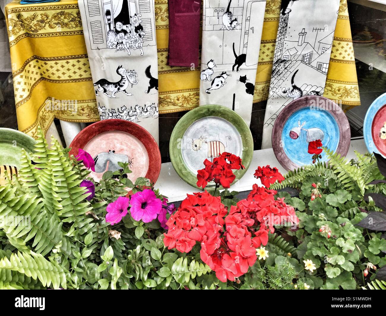 Flower box in front of a colourful window display. - Smartphone Captured Stock Image
