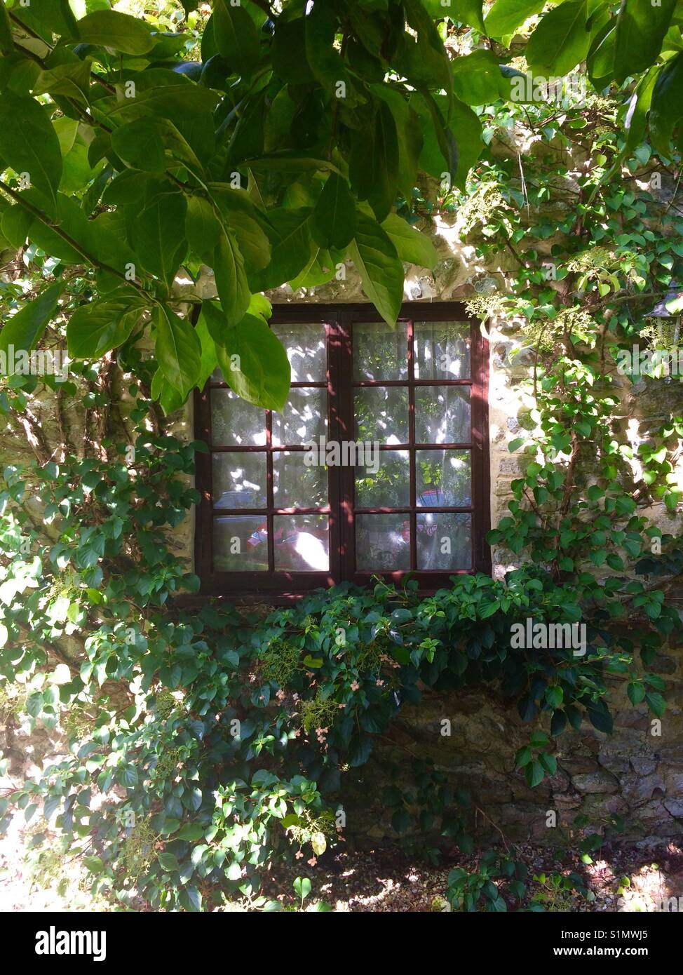 Cottage window in sunlight - Smartphone Captured Stock Image