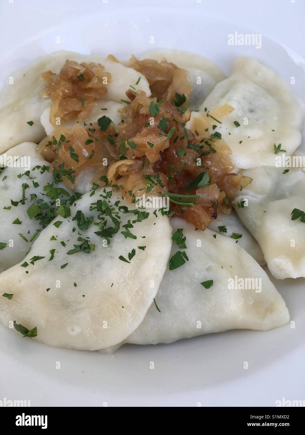 Polish pierogi dumplings with spinach cheese onions - Smartphone Captured Stock Image