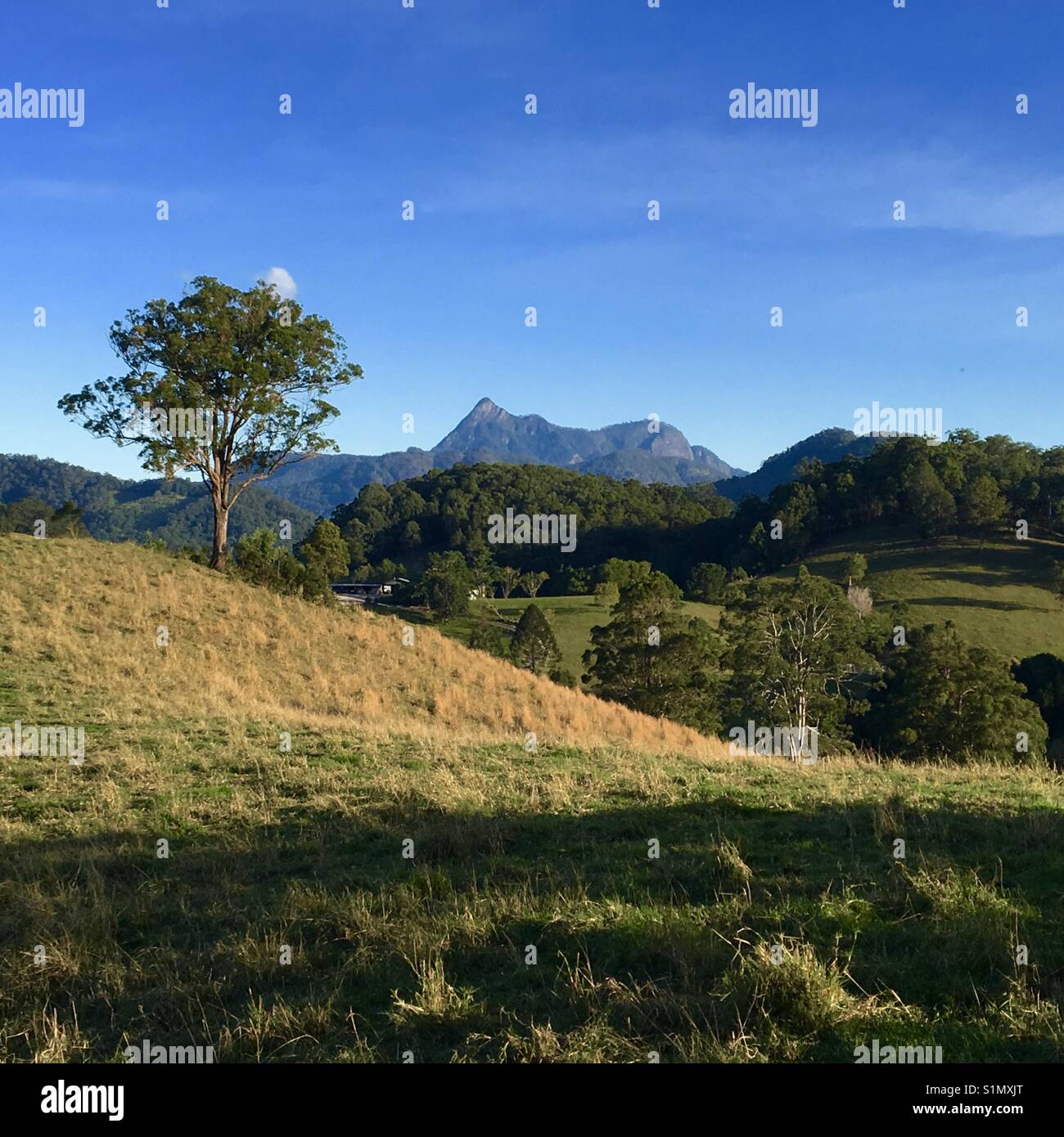 Northern New South Wales with Mount Warning and grazing land Stock Photo