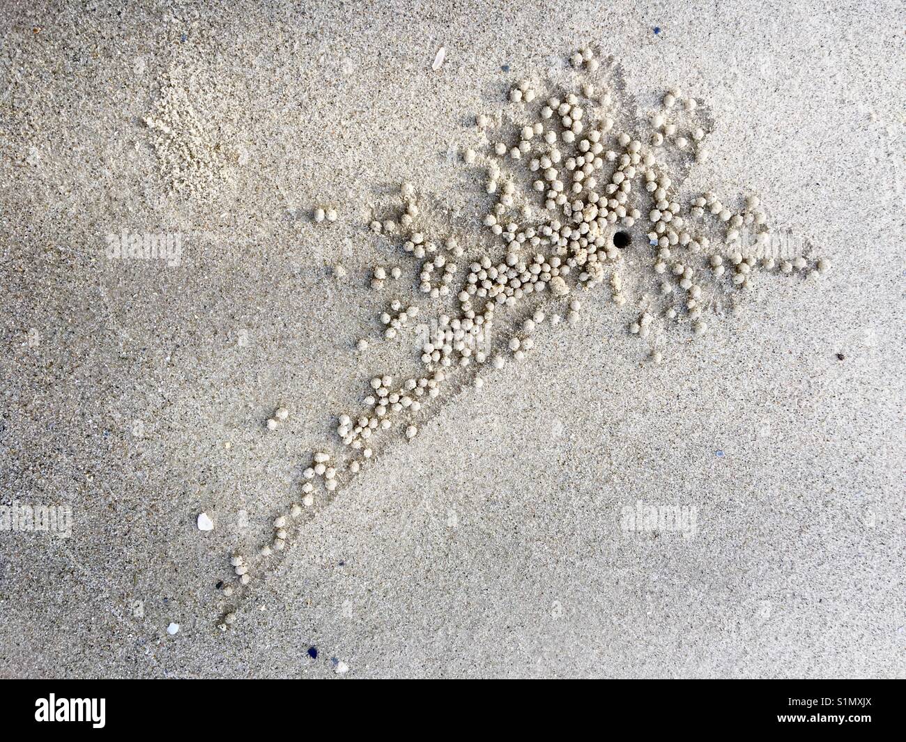 Little balls hires stock photography and images Alamy