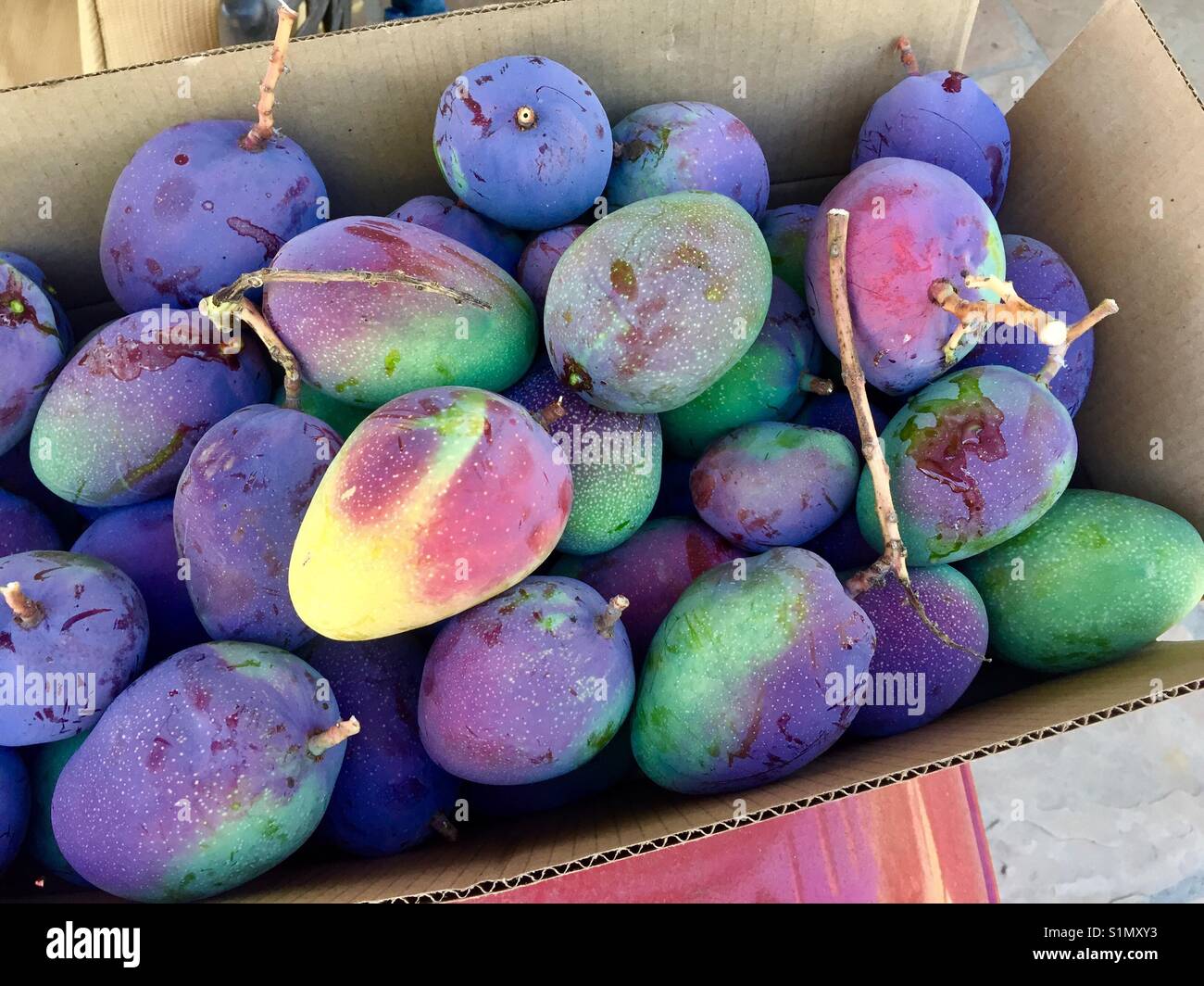 Box of mangoes Stock Photo Alamy