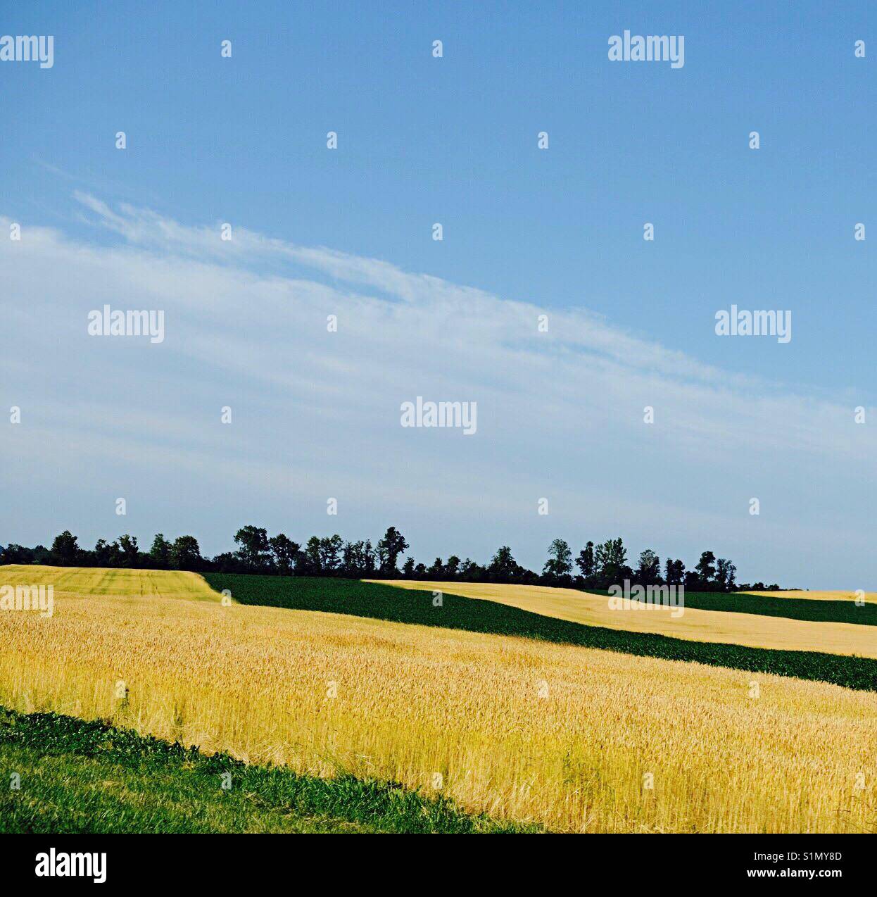 New york farm land hi-res stock photography and images - Alamy