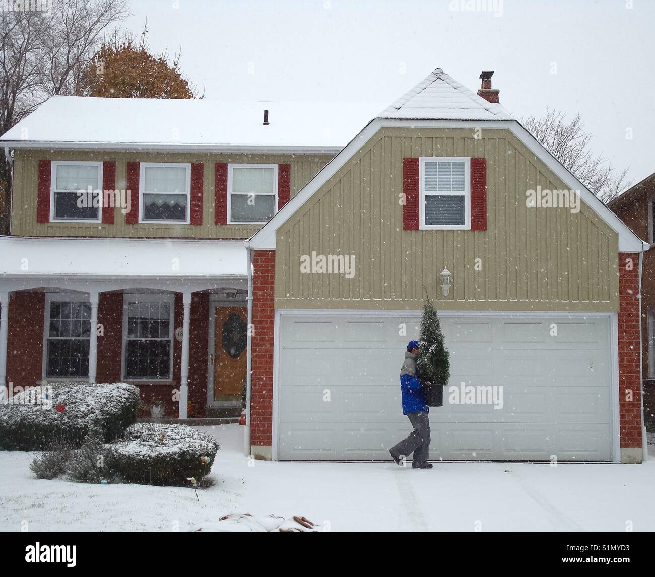 Winter tree - Smartphone Captured Stock Image
