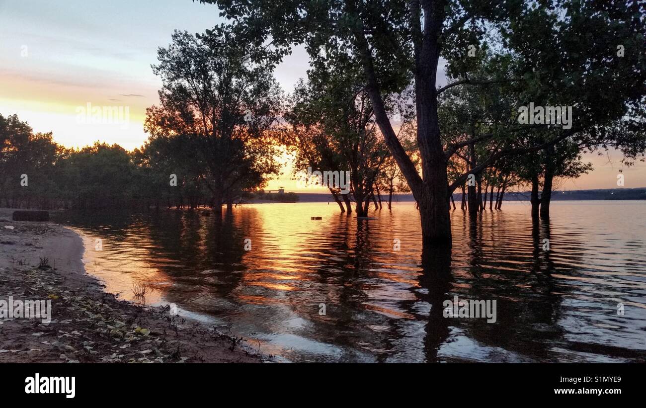Flooded picnic area at sunrise in Chatfield State Park, Littleton Colorado. - Smartphone Captured Stock Image