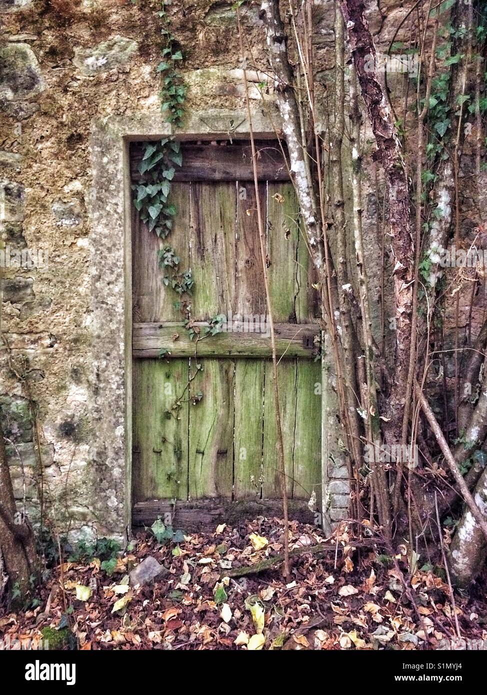 Old door Bagni Di Lucca Tuscany Italy Stock Photo