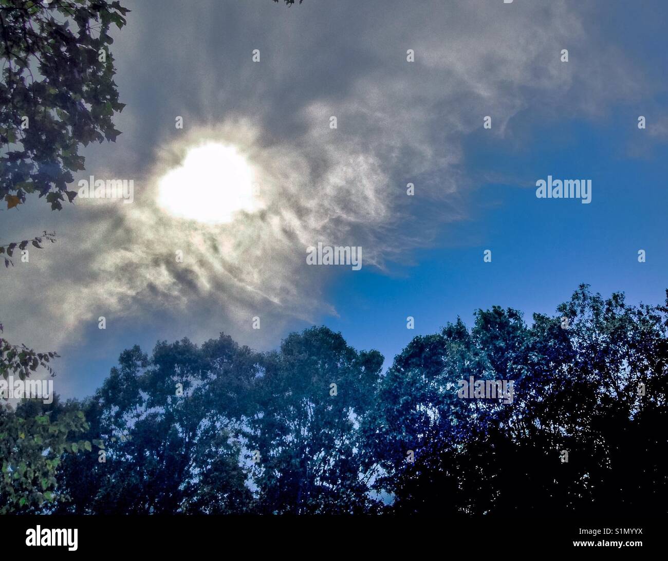 Wispy clouds enshroud the sun - Smartphone Captured Stock Image