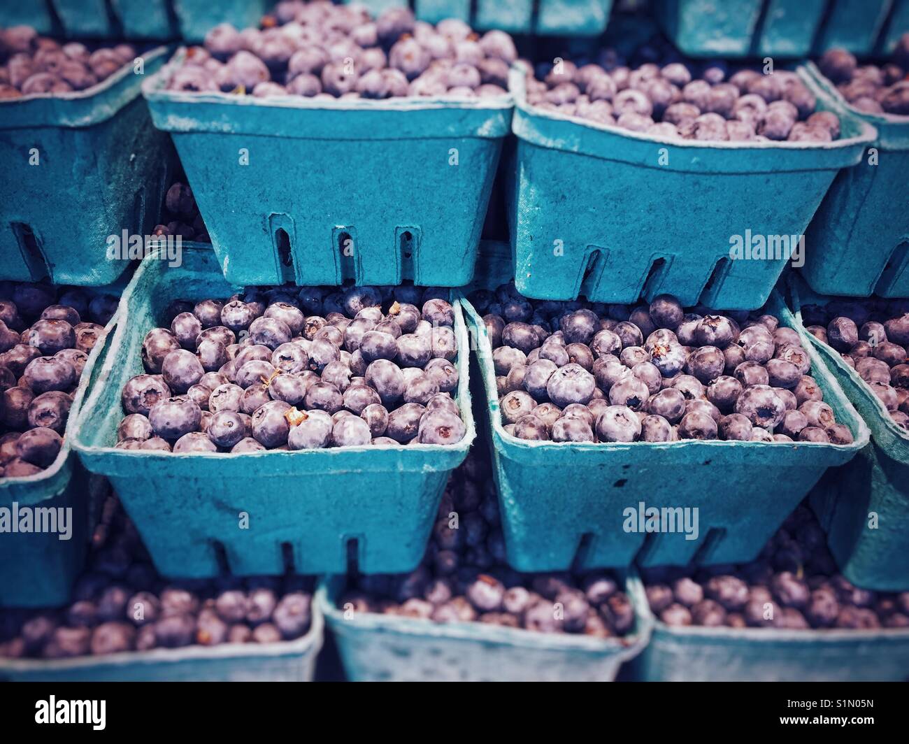 Seasonal fresh local blueberries stacked up in containers, for sale in