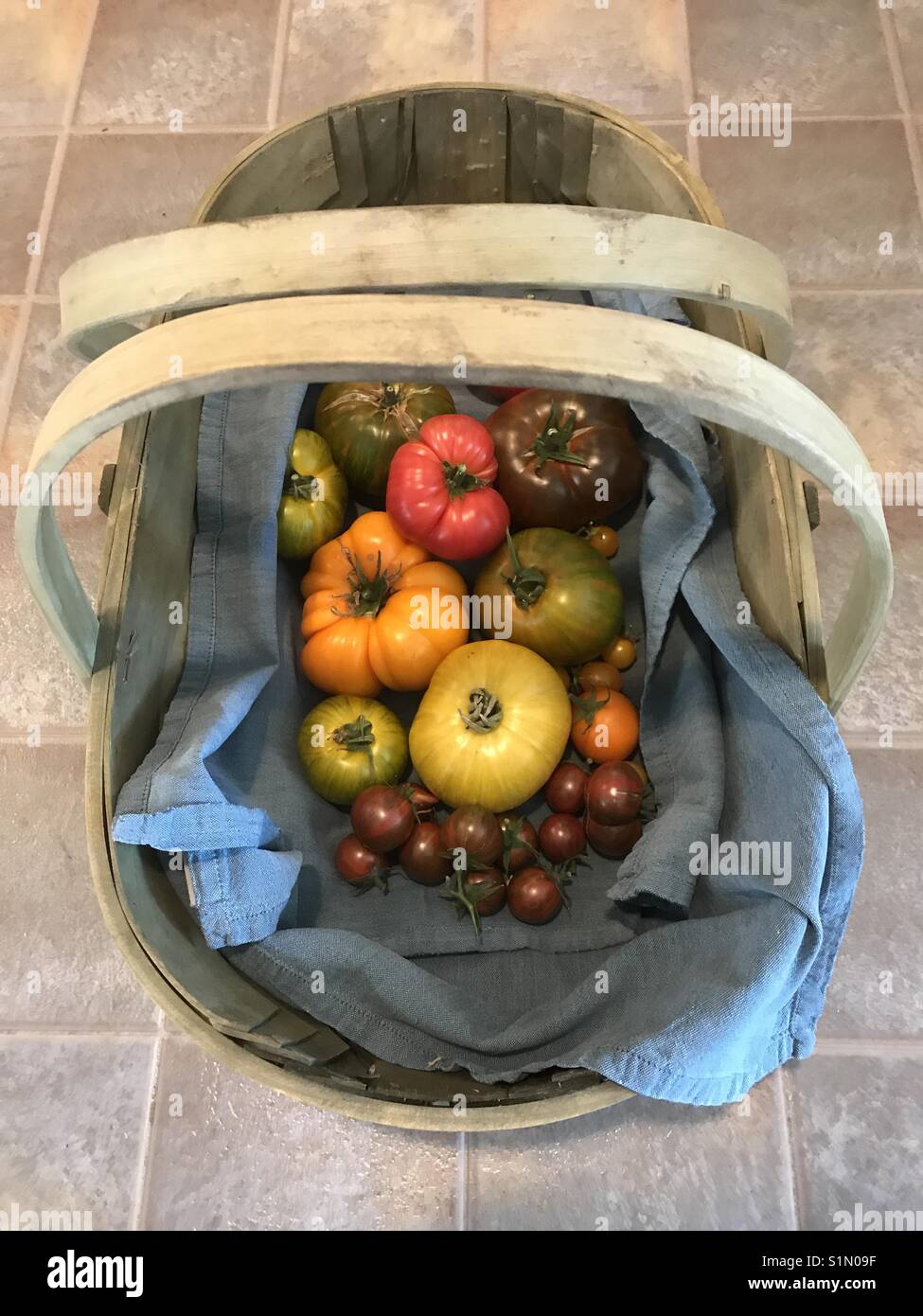 Heirloom tomato harvest, a colorful and delicious bounty Stock Photo