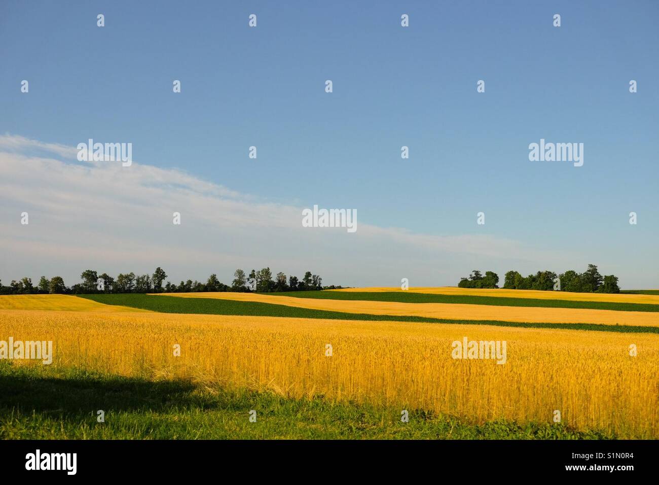 Idyllic - Smartphone Captured Stock Image
