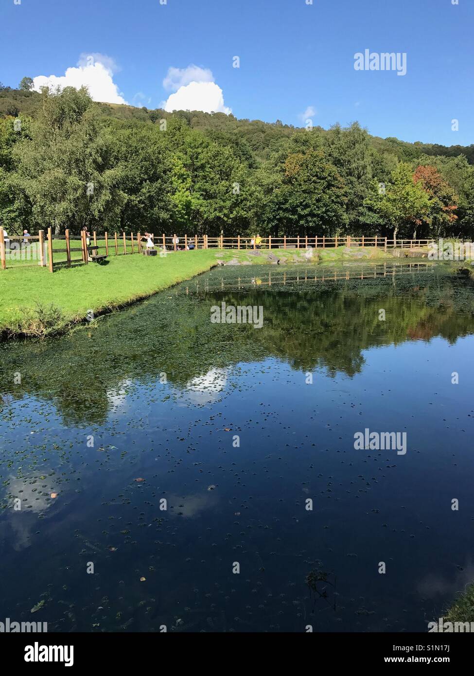 The country park at Barry Sidings near Pontypridd, Wales Stock Photo