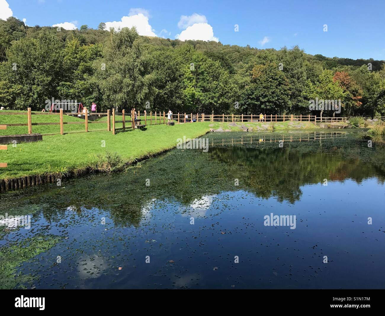 The country park at Barry Sidings near Pontypridd, Wales - Smartphone Captured Stock Image