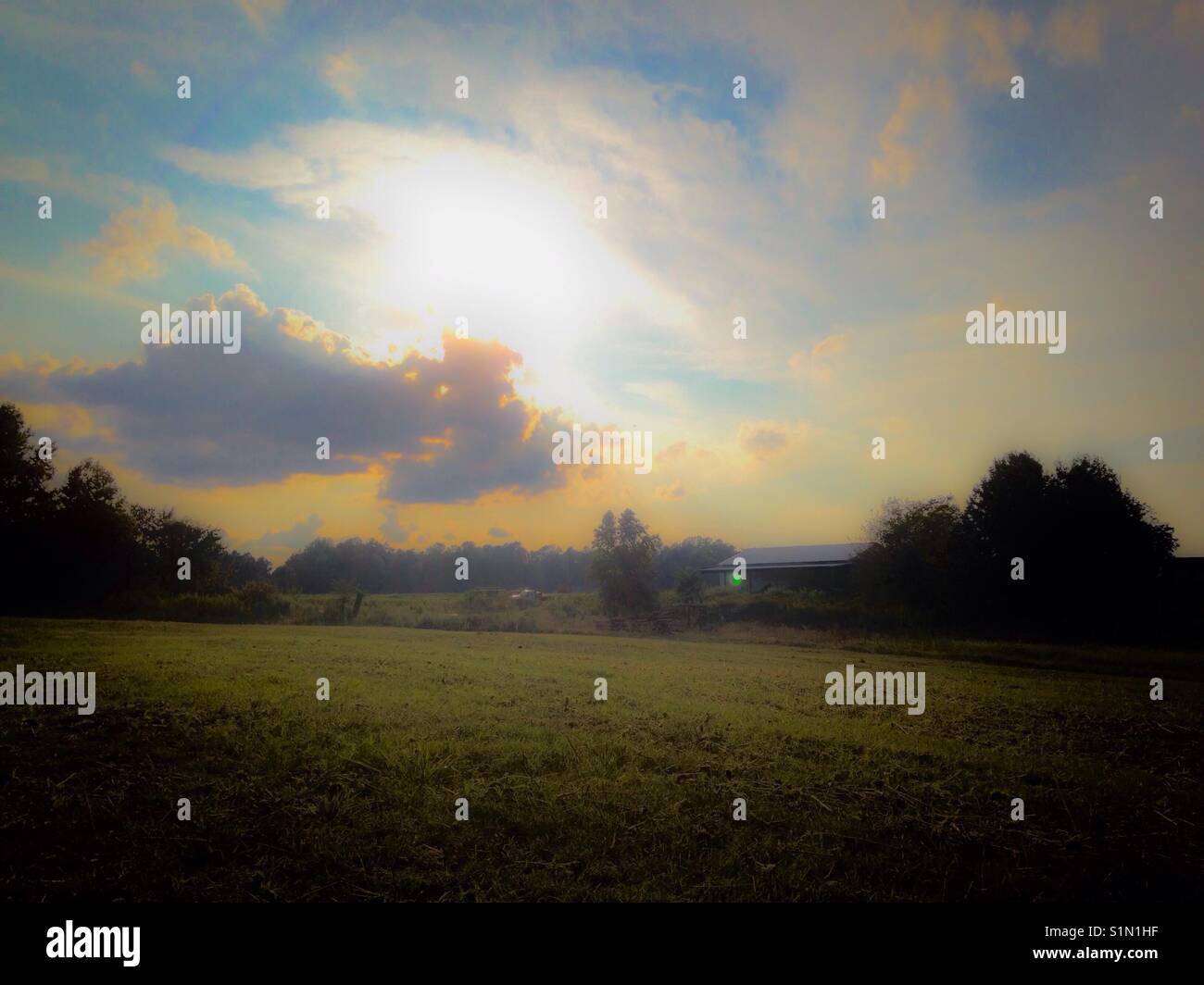 Pastel evening sunlight over North Carolina farm - Smartphone Captured Stock Image