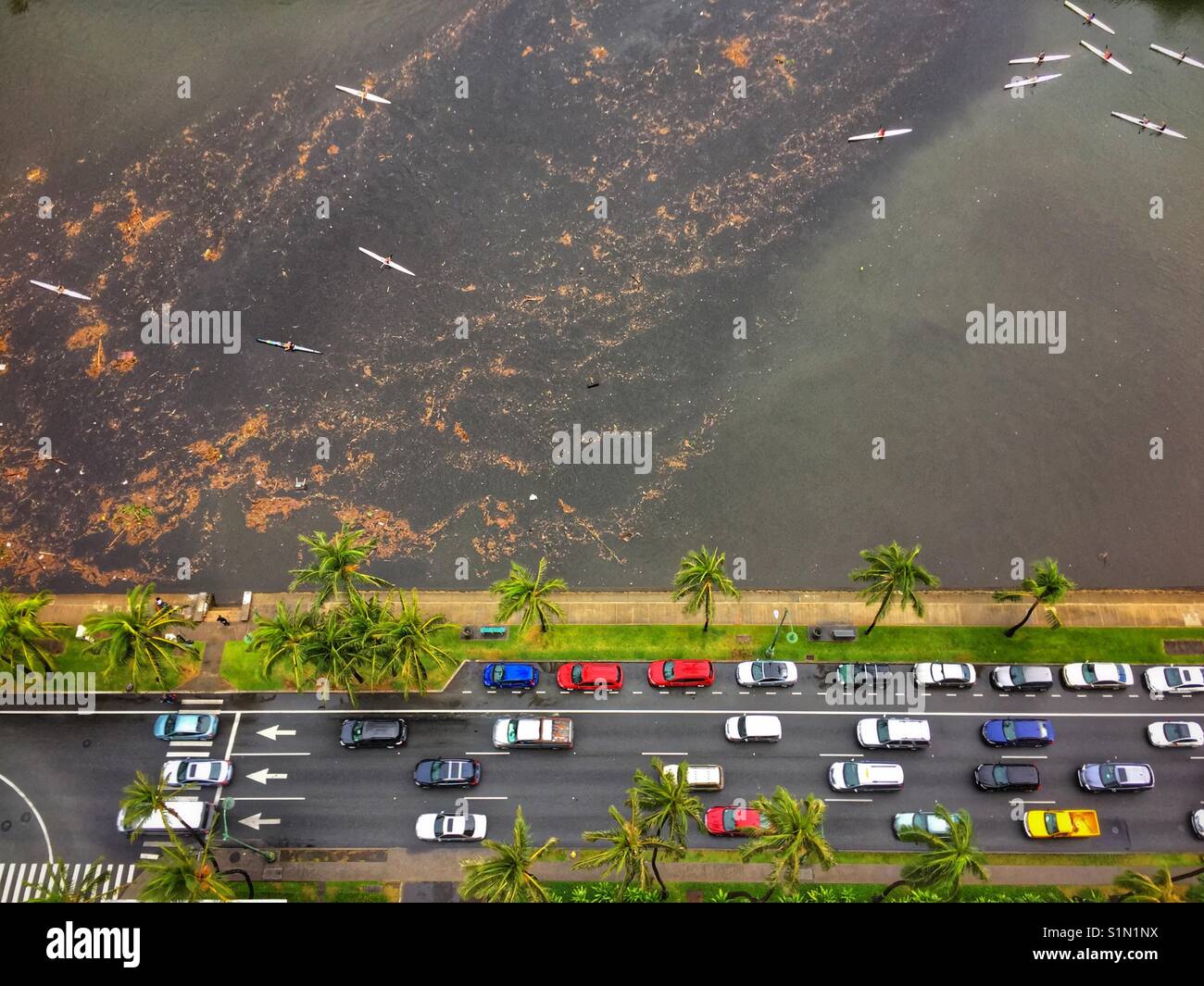 Ala Wai - Smartphone Captured Stock Image