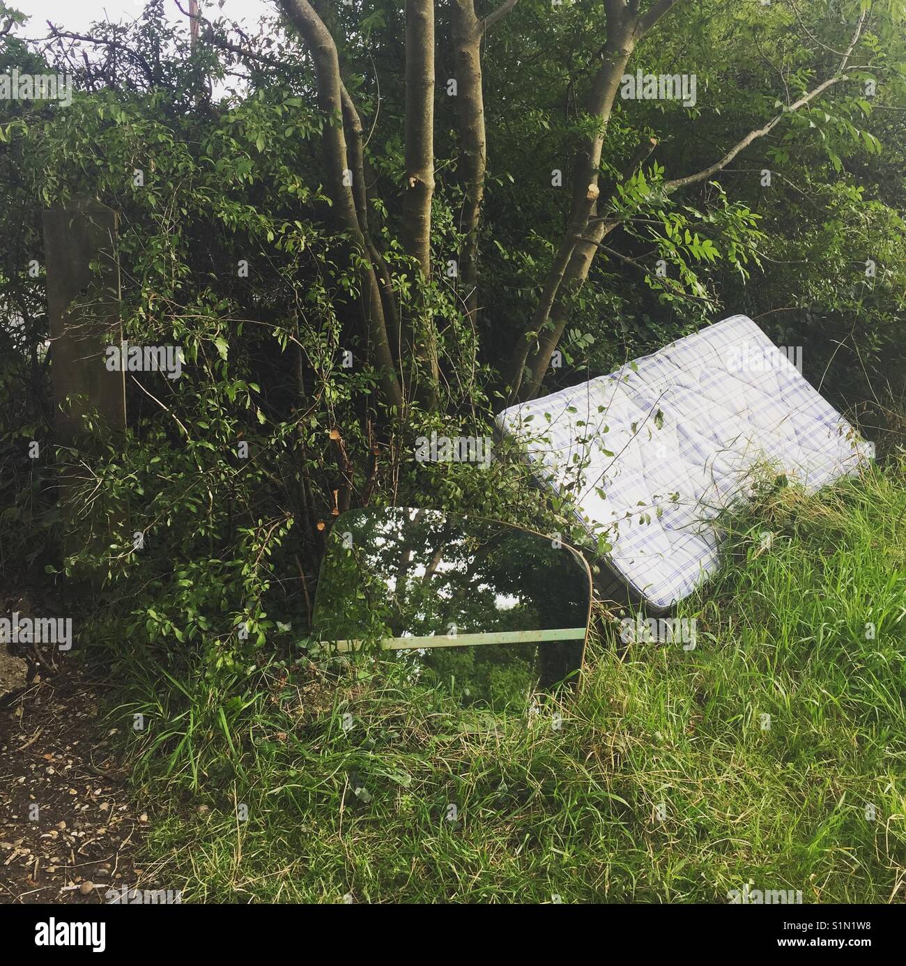 Discarded mirror and mattress in nature Stock Photo