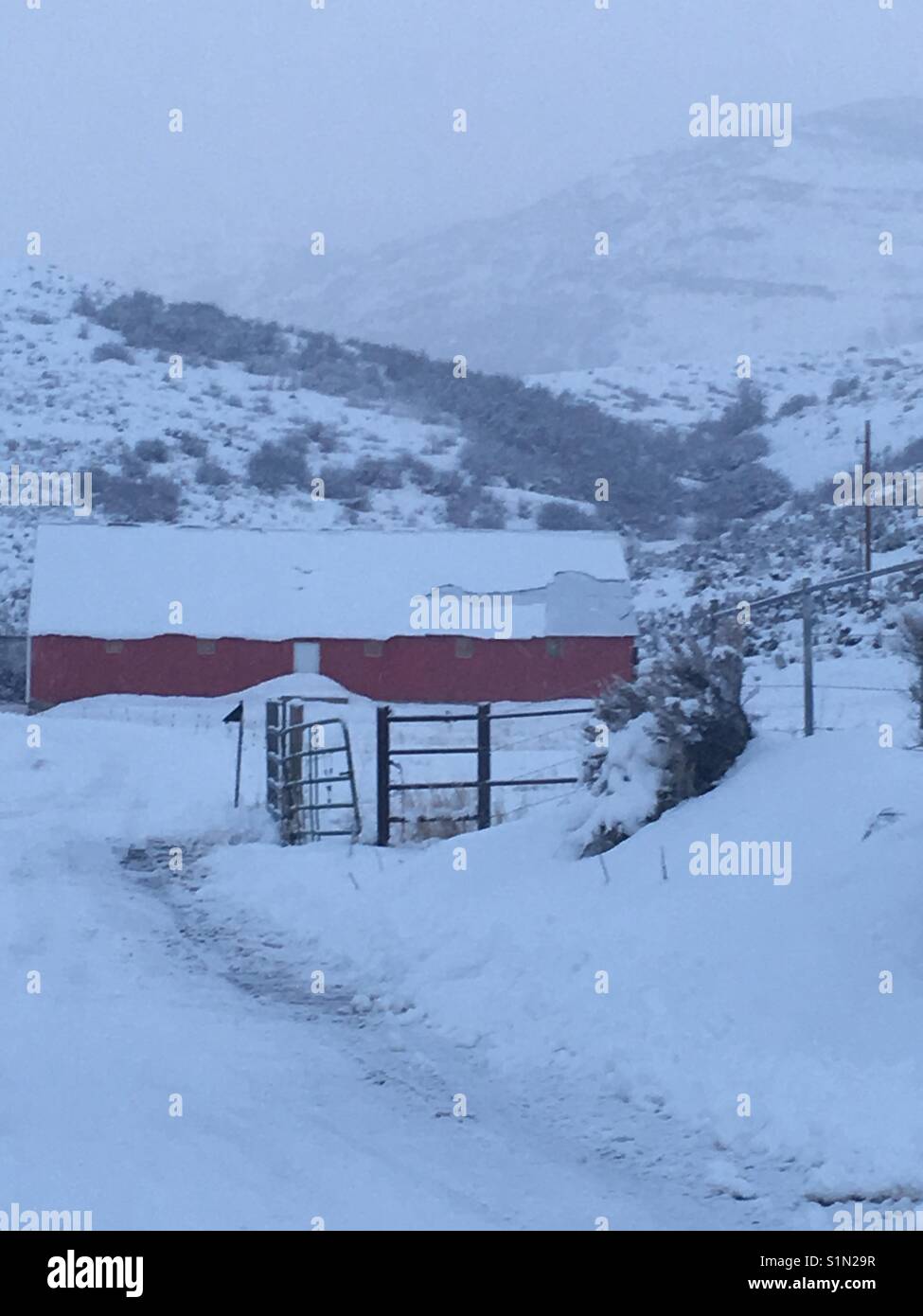 Winter at the red barn in Utah Stock Photo Alamy