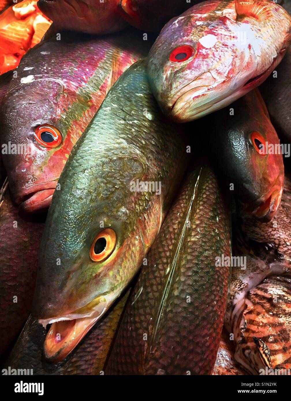 Bell and fish hi-res stock photography and images - Alamy