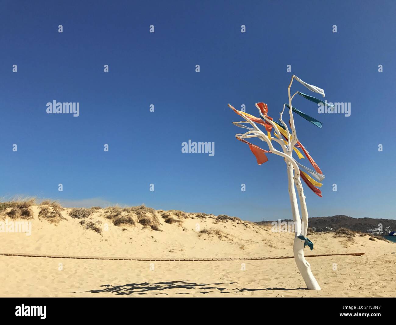 A lonely tree with colorful scarfs on a sandy beach in Greece - Smartphone Captured Stock Image