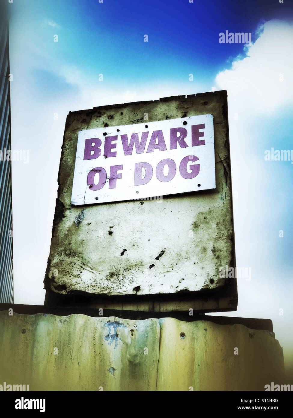 Beware of Dog sign - Smartphone Captured Stock Image