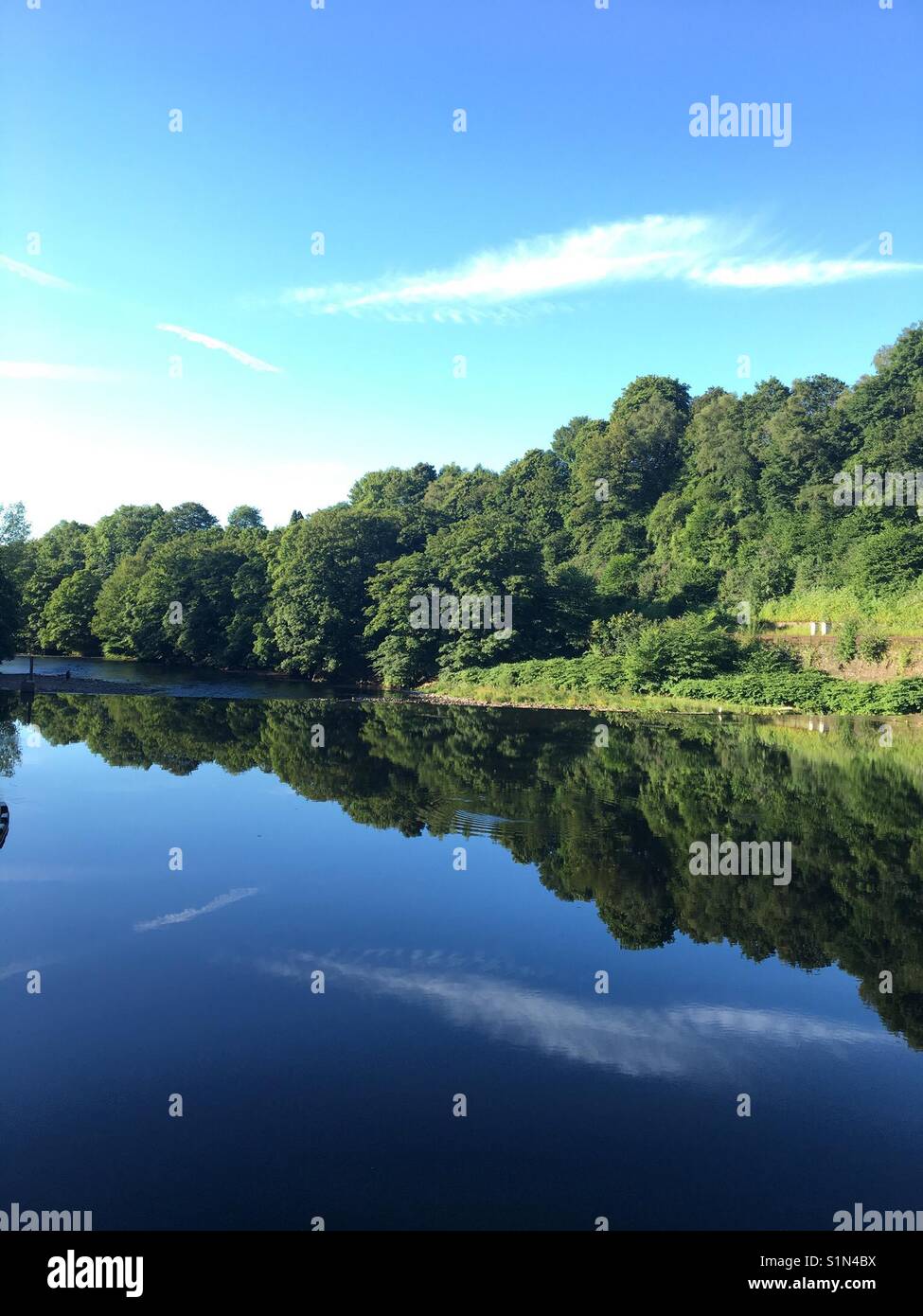 Upright format view of trees and sky reflected in the still waters of a river Stock Photo