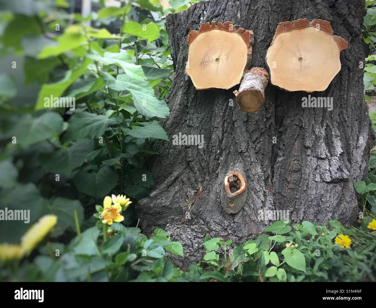 Tree stump with a face installed onto it - Smartphone Captured Stock Image