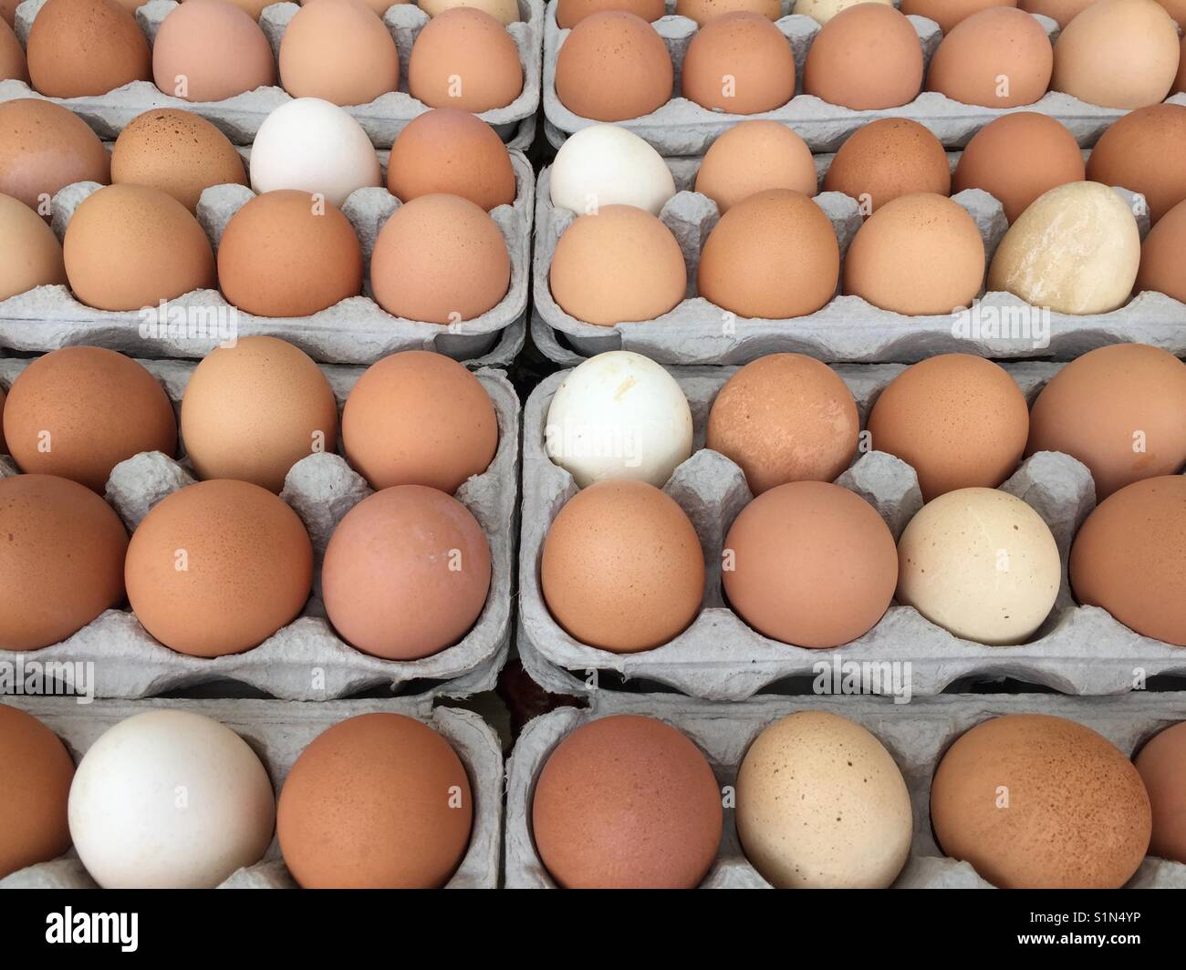 Farm fresh organic eggs 7 Stock Photo Alamy