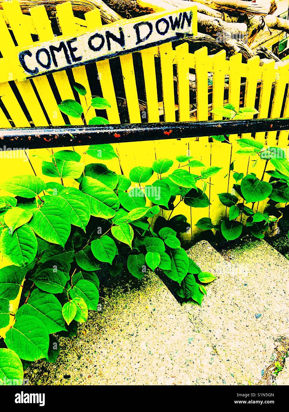Come on down sign on yellow wooden fence by steps - Smartphone Captured Stock Image