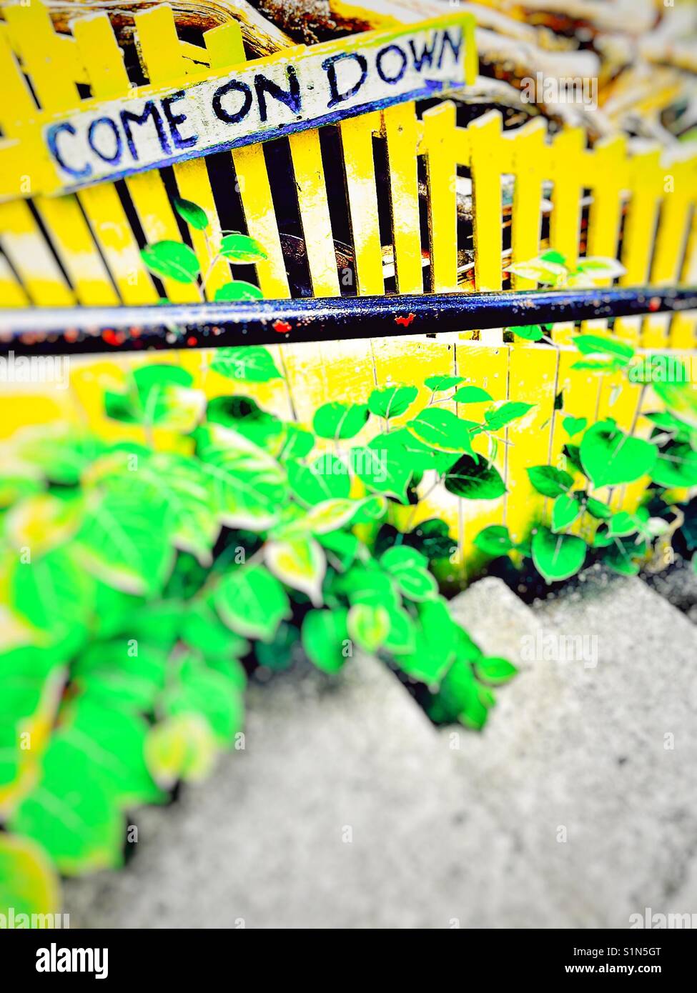 Come on down sign on yellow wooden fence by steps - Smartphone Captured Stock Image