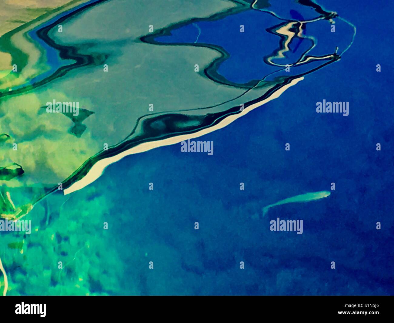 Ultramarine sea with fish and a reflection of a fishing boat - Smartphone Captured Stock Image