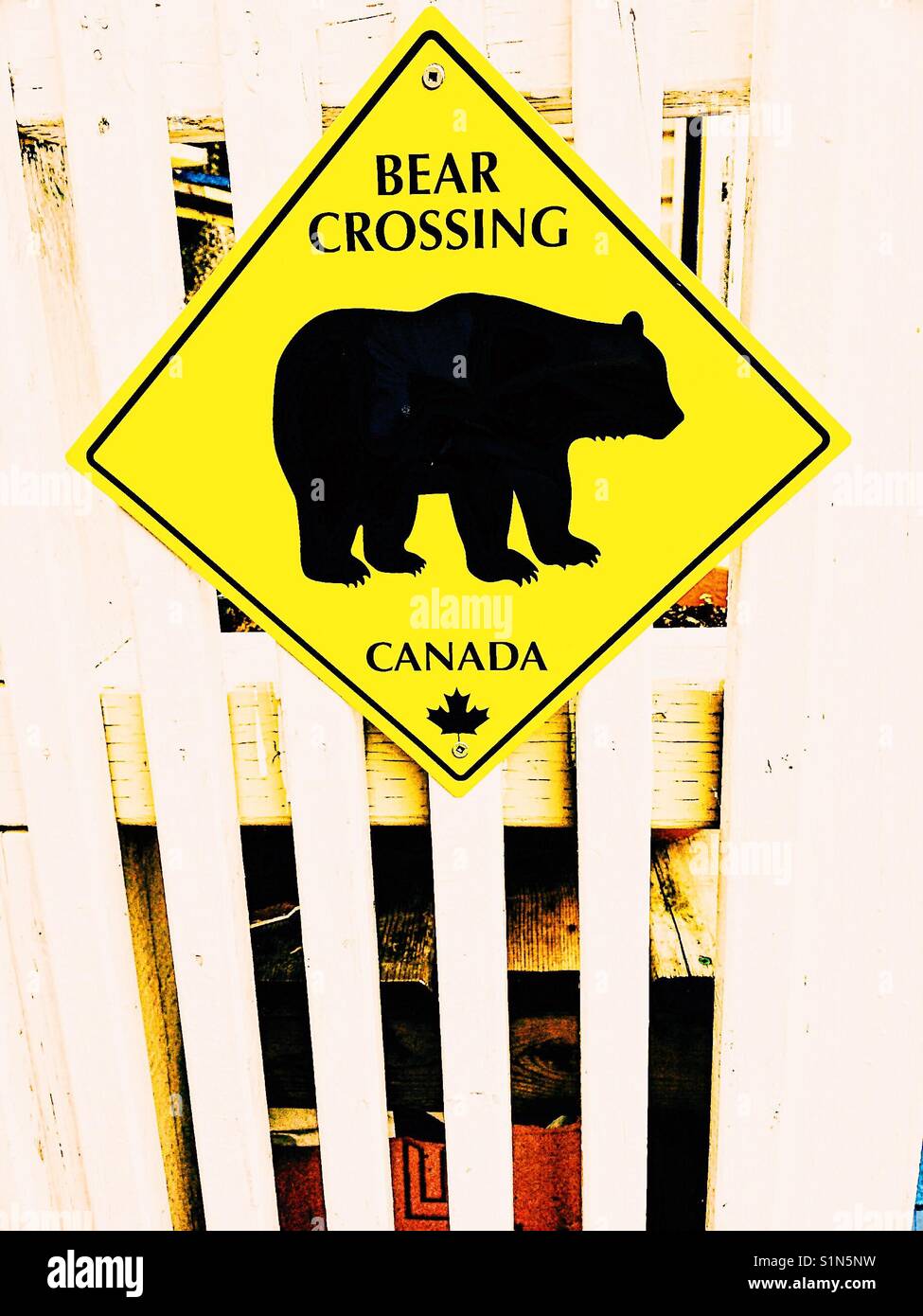 Bear crossing sign, Newfoundland, Canada - Smartphone Captured Stock Image