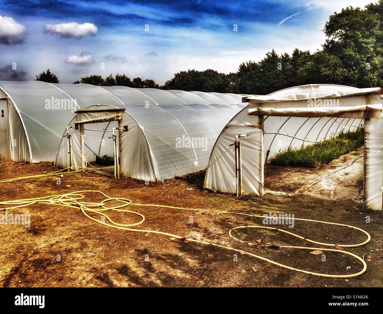 Poly tunnels at garden nursery - Smartphone Captured Stock Image
