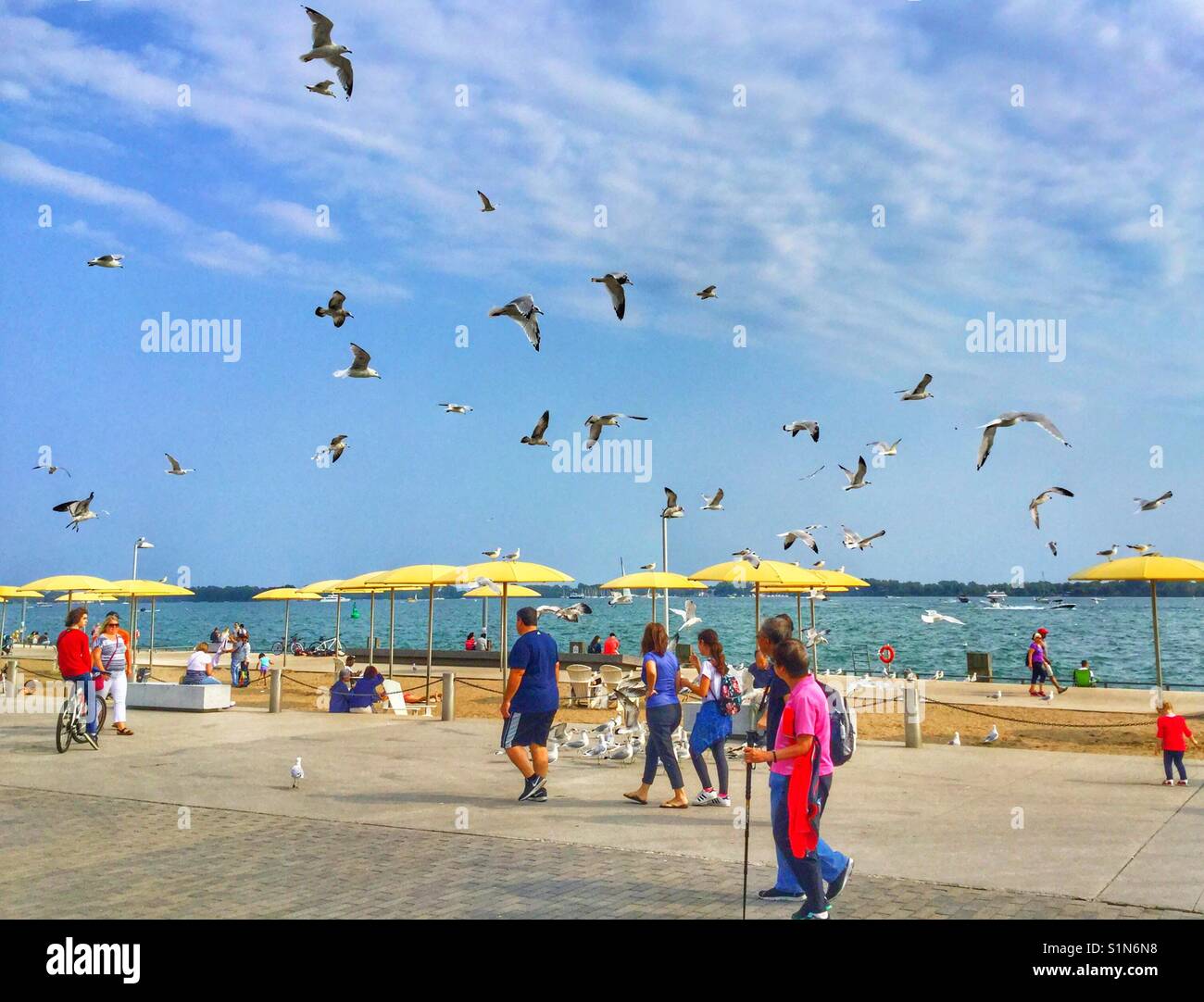 People walking along the waterfront at Toronto's HTO Park. - Smartphone Captured Stock Image