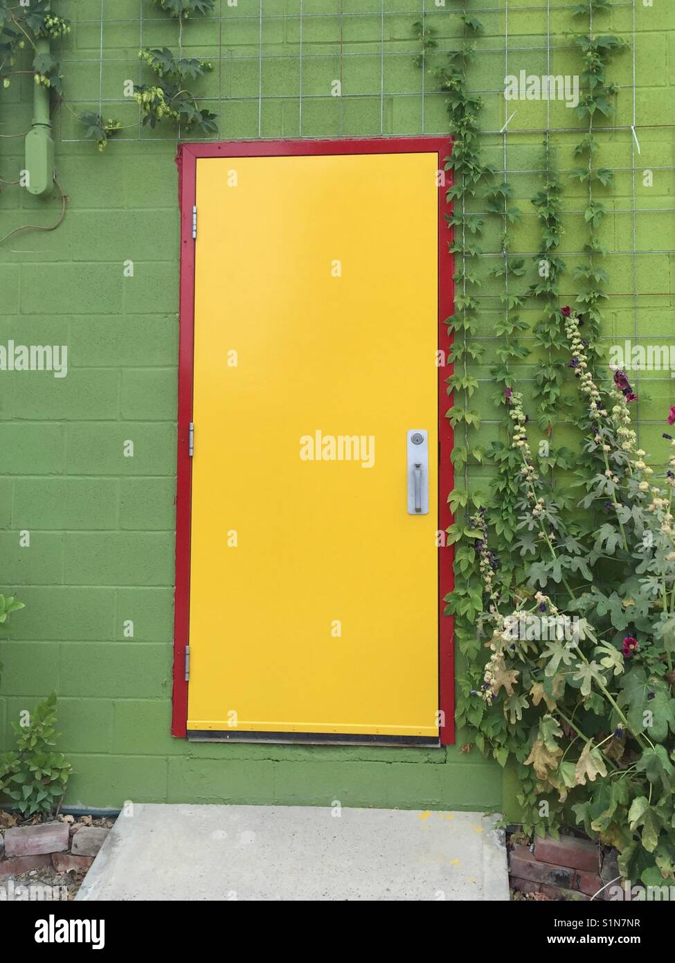Yellow wall with green door hi-res stock photography and images - Alamy