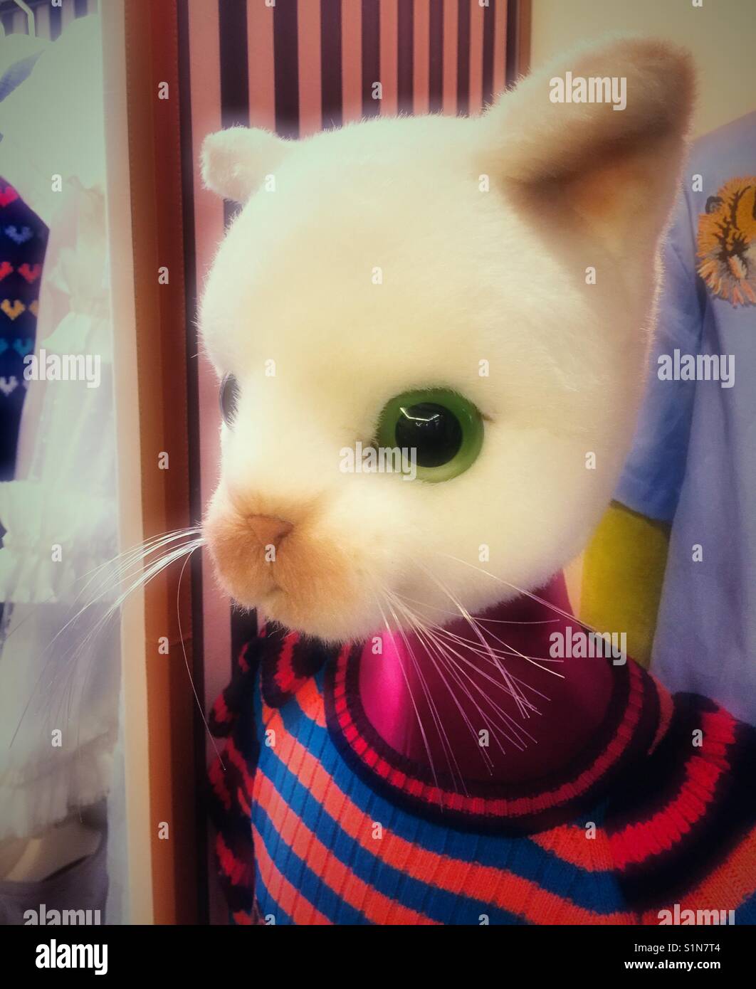 Fluffy cat mannequin, retail clothing store, NYC, USA - Smartphone Captured Stock Image