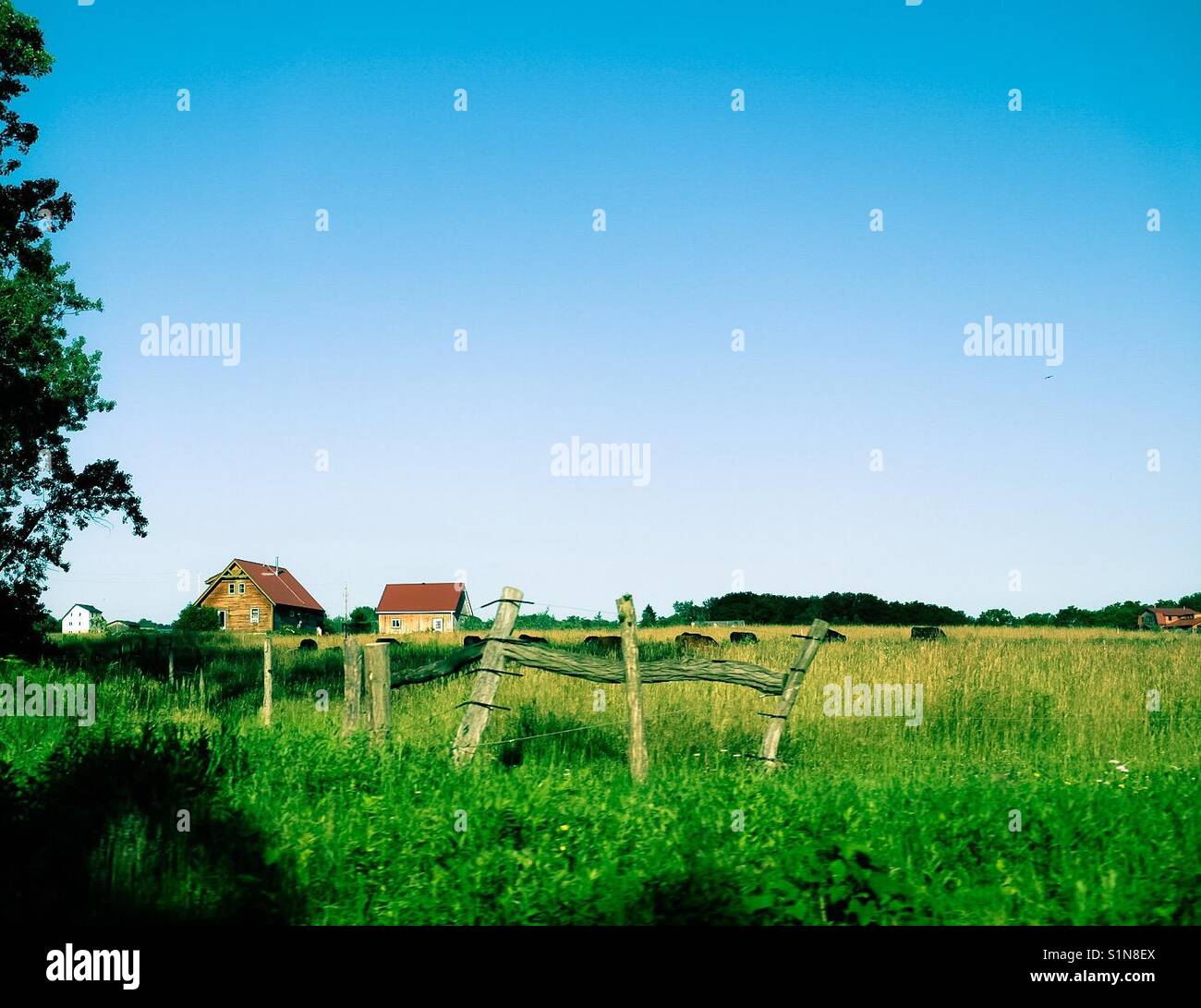 Idyllic dreamscape - Smartphone Captured Stock Image